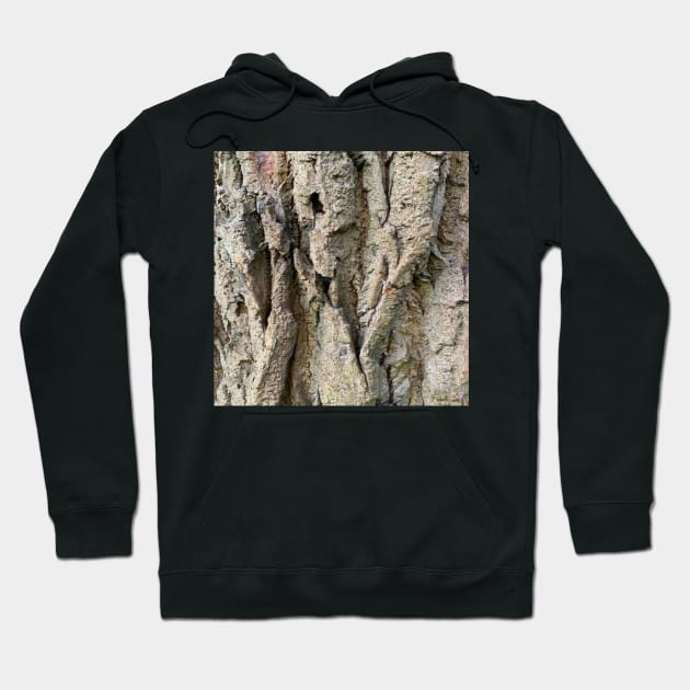 Tree Grooves Photography Hoodie by DeniseMorgan